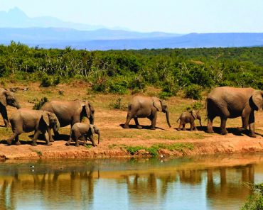 Botswana, de l’Okavango aux chutes du Zambeze